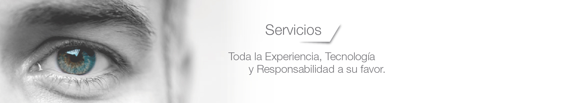 Servicios Toda la Experiencia, Tecnolog&iacute;a y Responsabilidad a su favor.